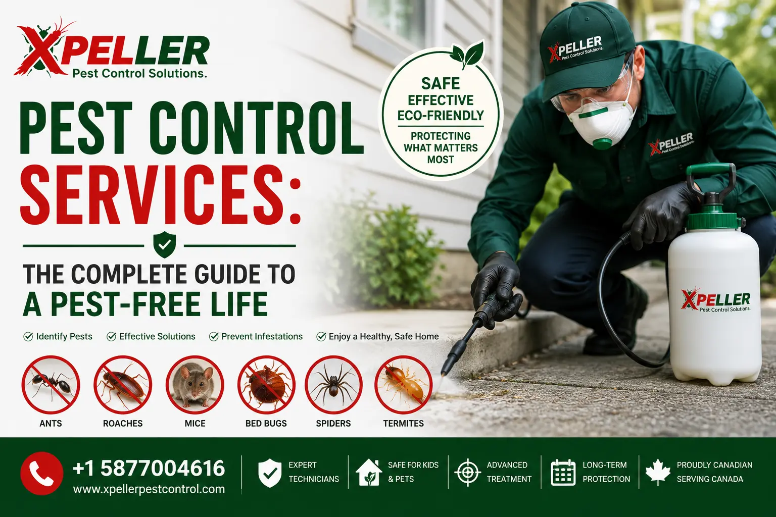Pest Control Services