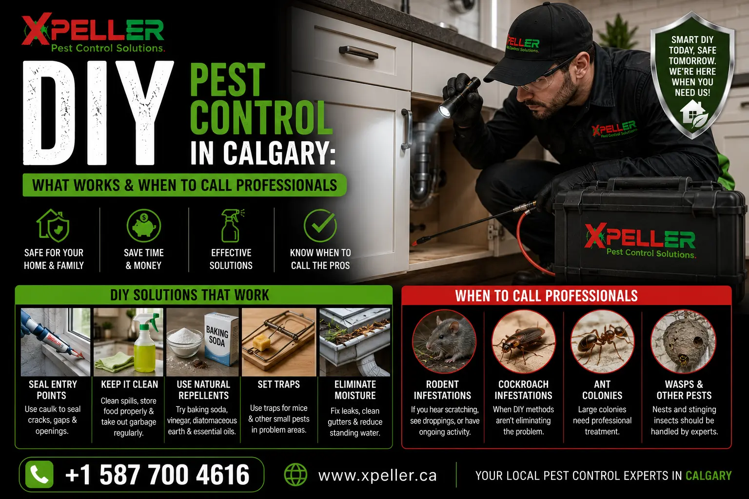DIY Pest Control Calgary | Stop Pests from Returning