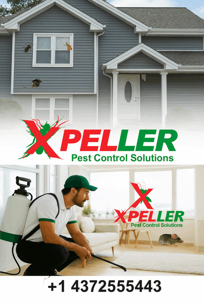 Pest Control Calgary