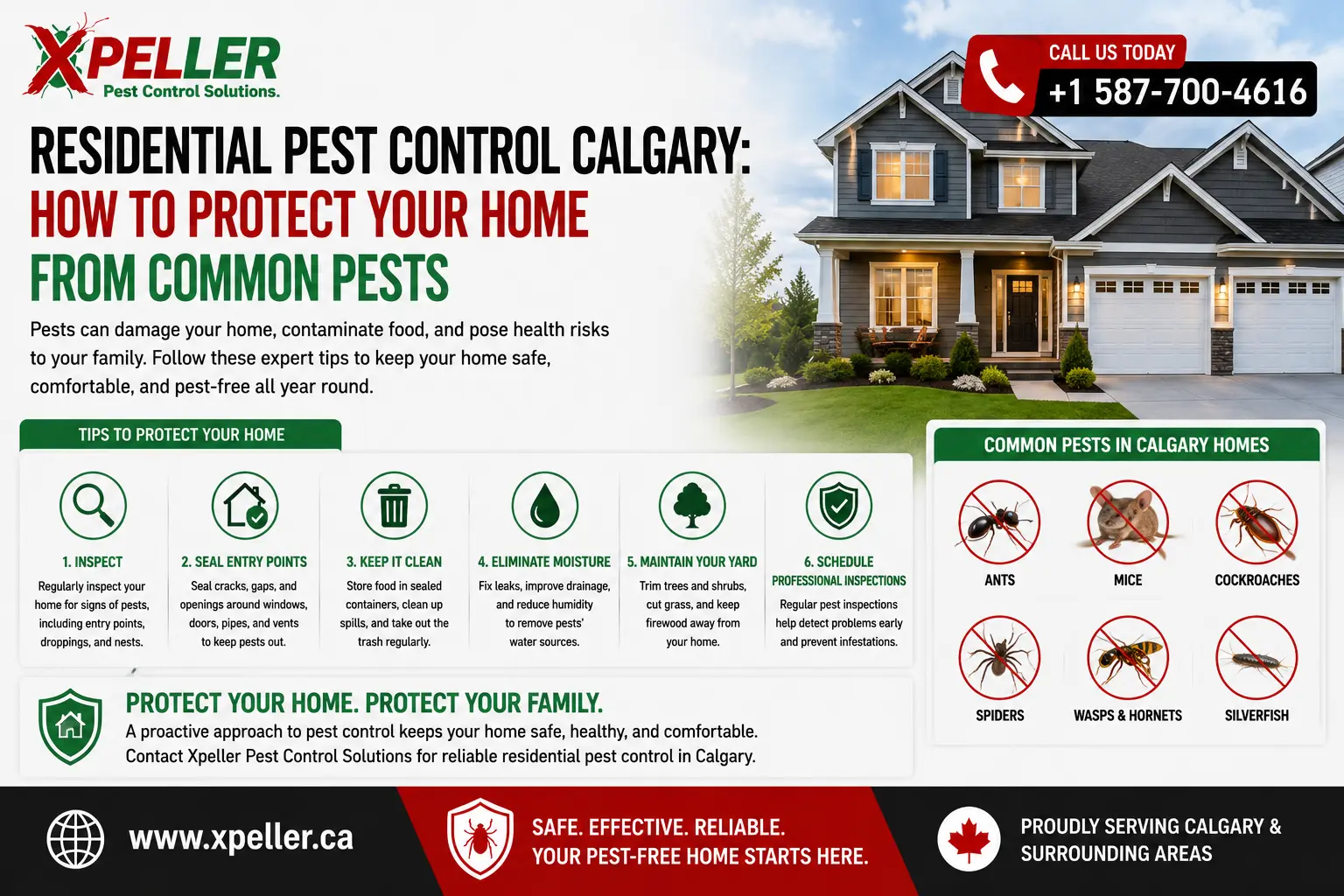 Residential Pest Control Calgary | Protect Your Home