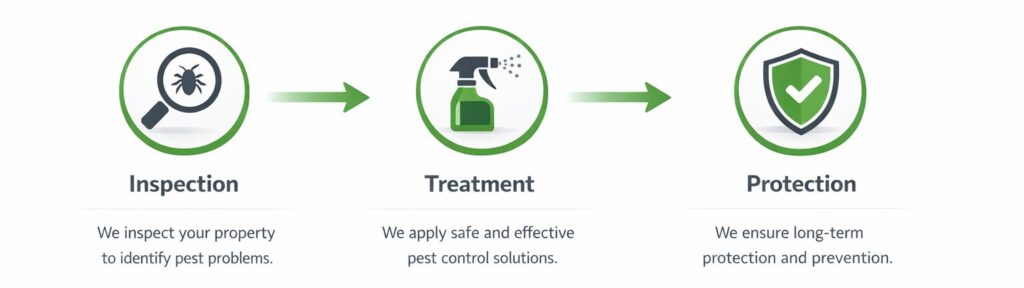 Pest Problem to Protected