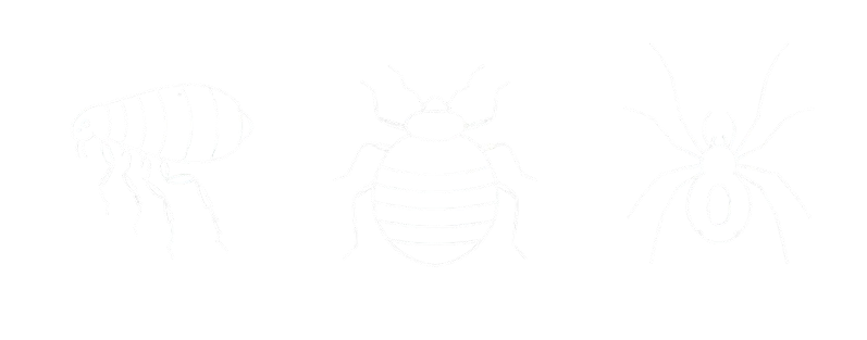 bugs